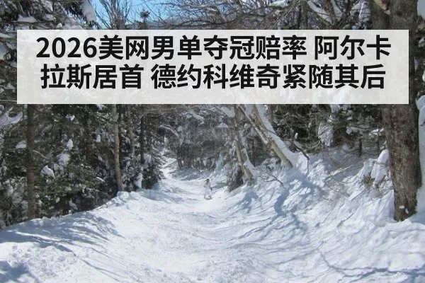 2026美网男单夺冠赔率 阿尔卡拉斯居首 德约科维奇紧随其后